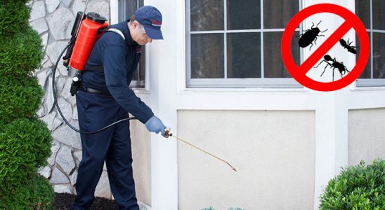 Süloğlu Fare İlaçlama böcek ilaçlama ve haşere kontrolü — ilaclama-tr.com